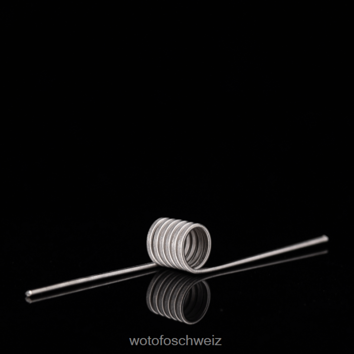 Wotofo ID vorgefertigte Spule Dual Core Fused Clapton 0,65 Ohm 5mm 5St FNVFZT347 Wotofo E-Zigarette
